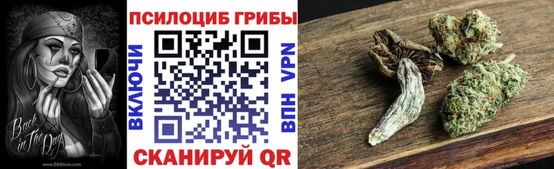 Галлюциногенные грибы мухоморы Сясьстрой