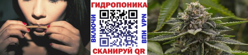 Бошки марихуана LSD WEED  хочу   Сясьстрой 
